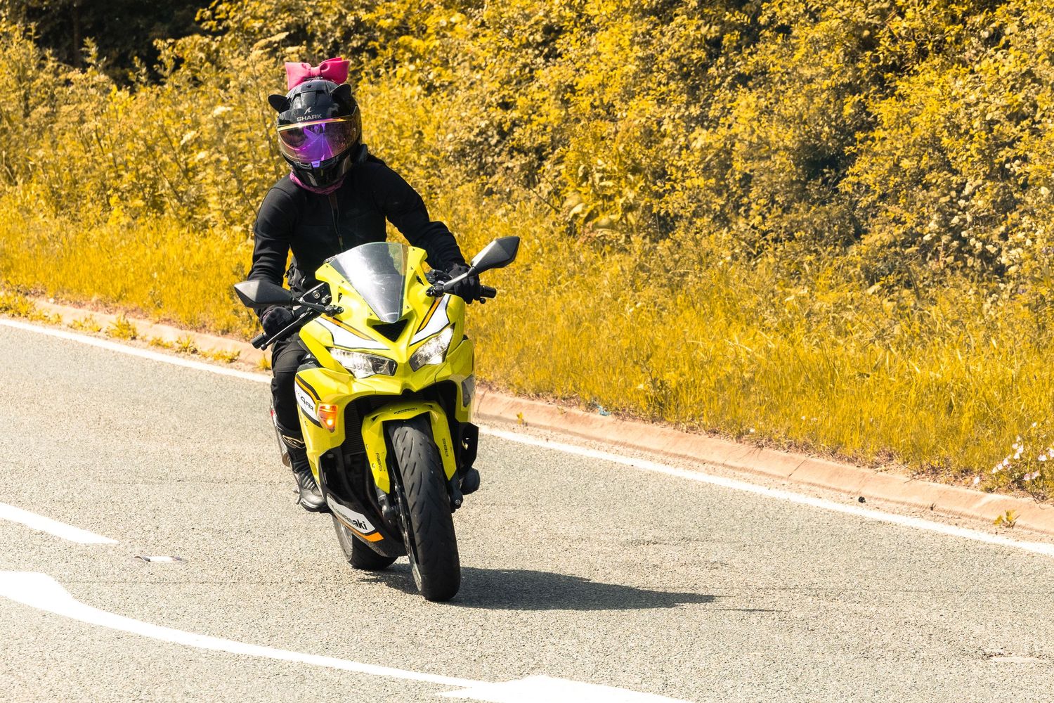 Rider in purple helmet on yellow sport motorcycle cruising along a sunny road with golden wildflowers in background.