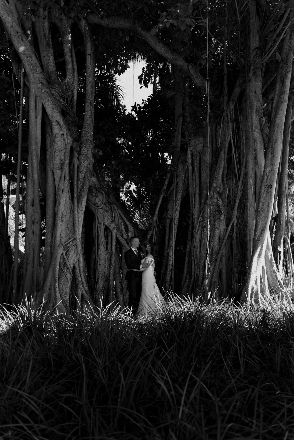 A dramatic black and white wedding photo under towering banyan trees.