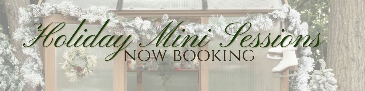 Holiday Mini Sessions Now Booking banner with festive winter greenery and snow-dusted foliage decoration.