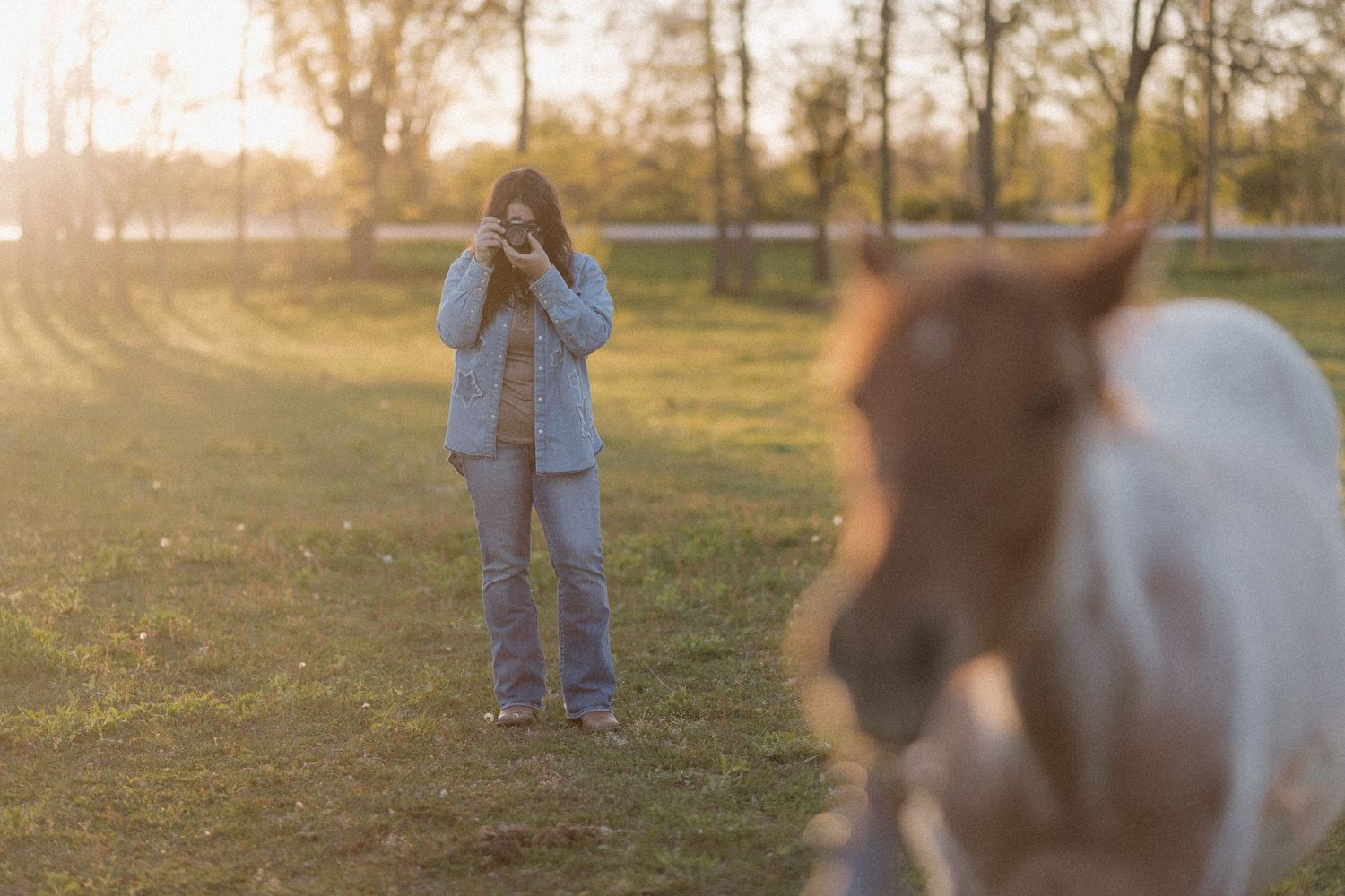 Woman photographing a brown and white horse in a sunny field with golden hour light filtering through trees.