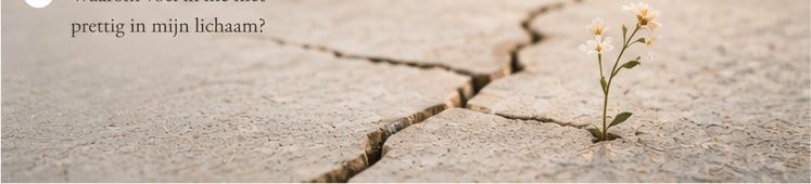 A resilient yellow flower growing through a crack in concrete pavement, symbolizing strength and perseverance.