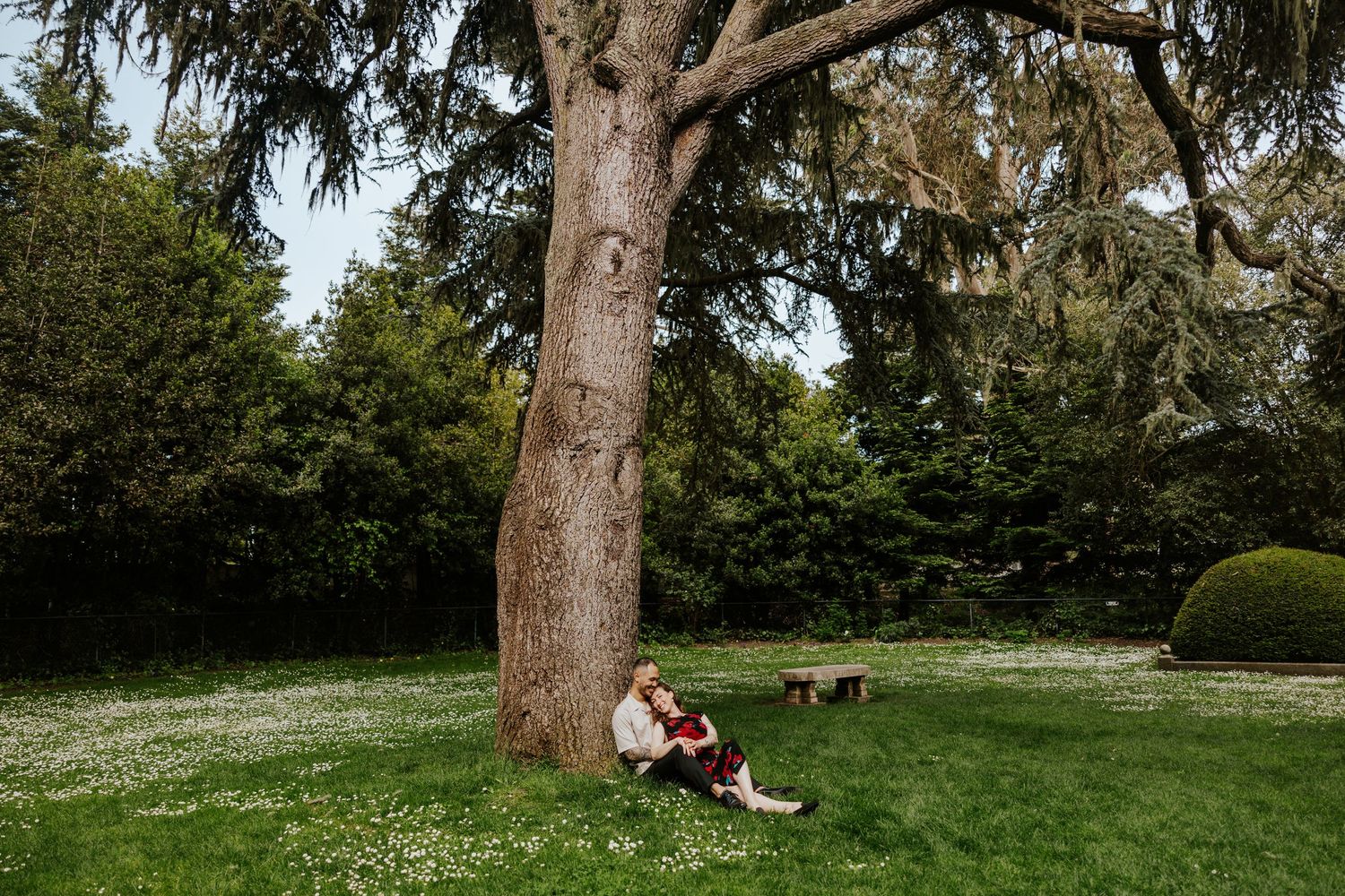 engagement couple cuddling on the grass under a tree in the shakespeare garden in golden gate park san francisco. bay area engagement photog