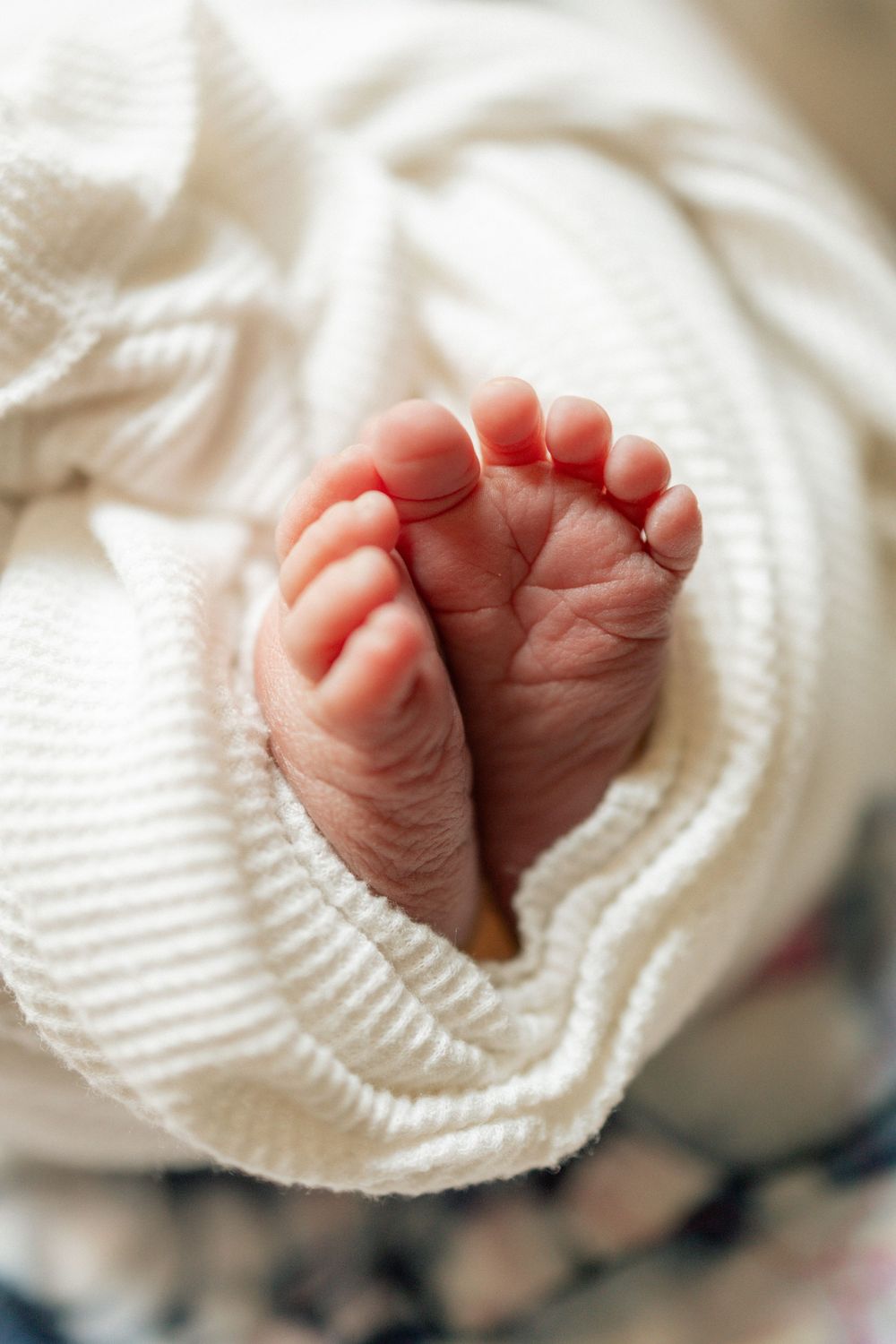 Close-up of tiny newborn baby feet wrapped in a soft white knit blanket.