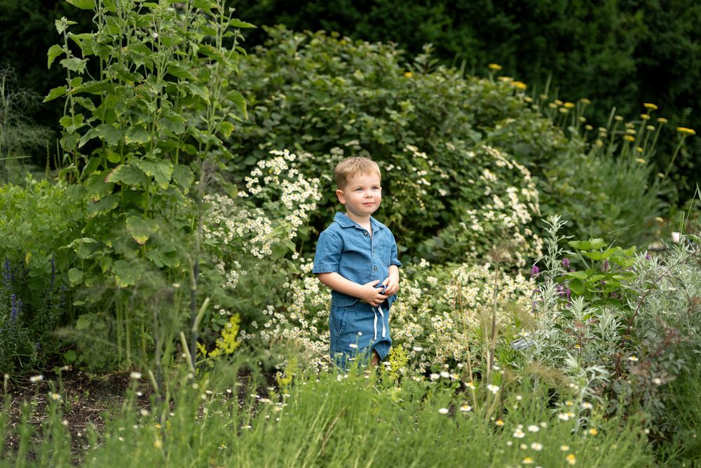 A young toddler boy in a denim outfit stands among wildflowers and greenery in a beautiful garden setting.