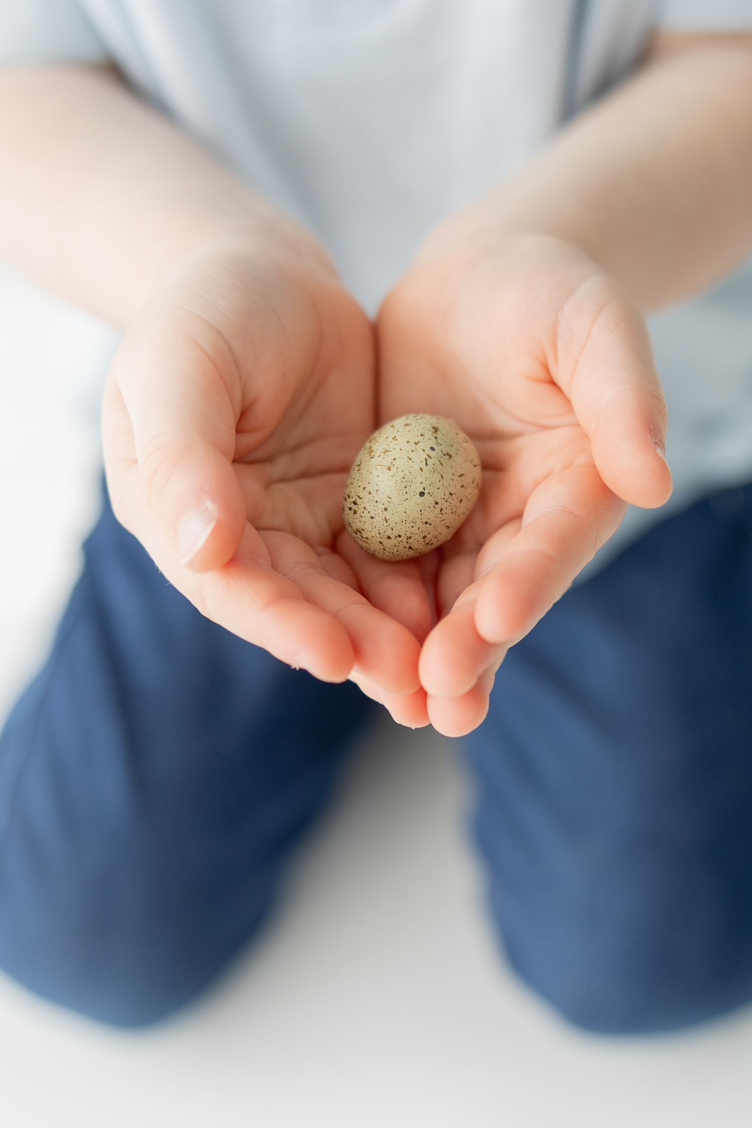 Child's hands gently cupping a small speckled bird egg, wearing blue pants and light blue shirt.