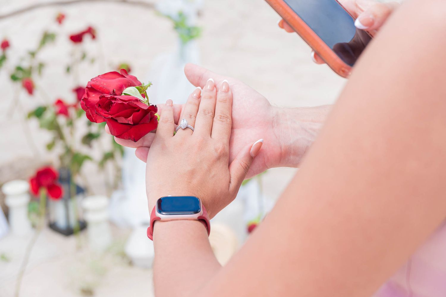 Close-up of hands holding a red rose, woman wearing a smartwatch and ring, with red flowers in the background.