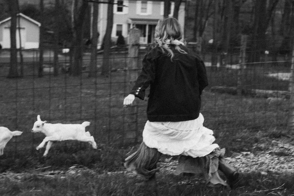 Girl in black jacket and white skirt chasing white baby goats in a rural yard near a fence.
