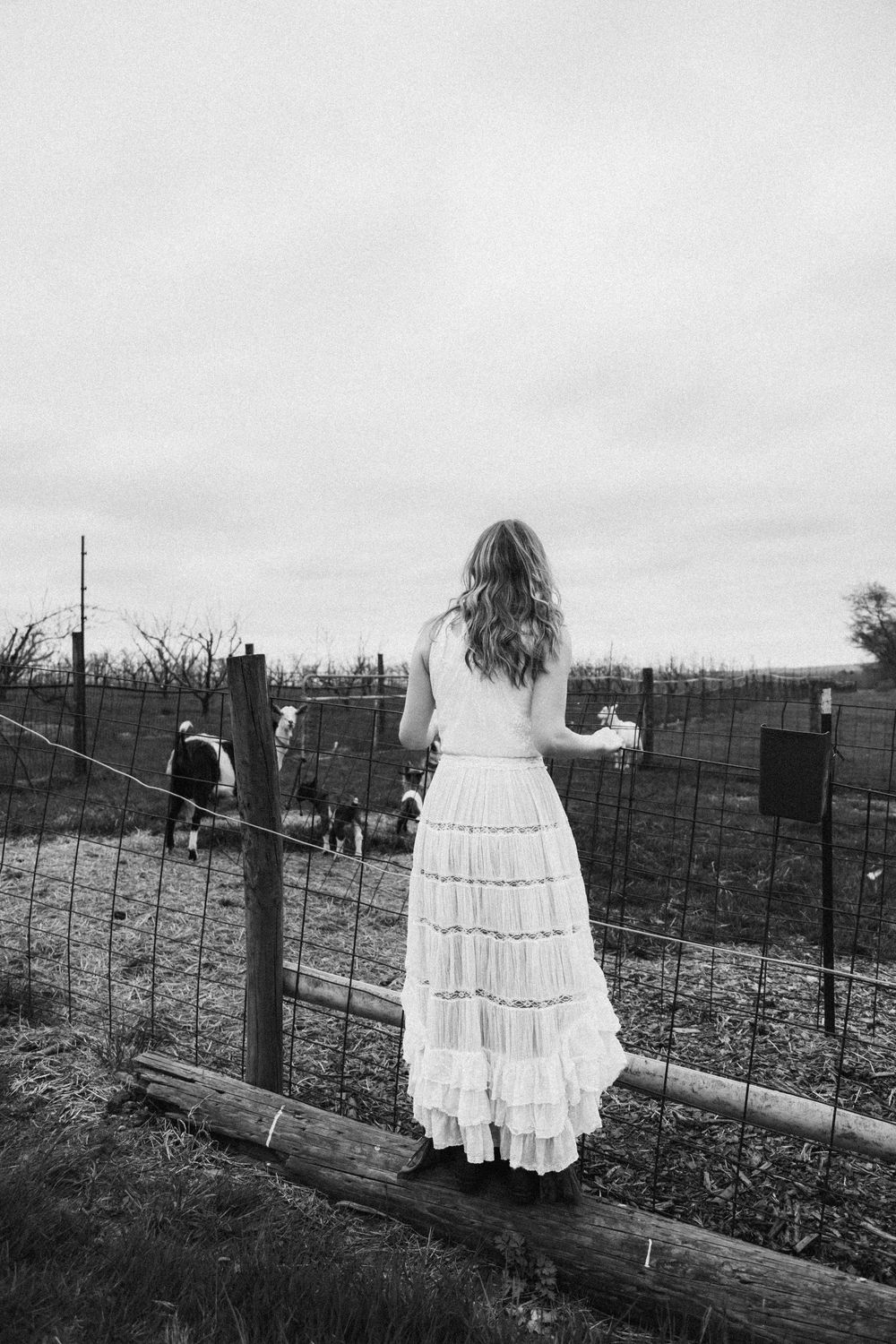 Black and white photo of a woman in a white tiered dress standing by a farm fence with animals in the background.