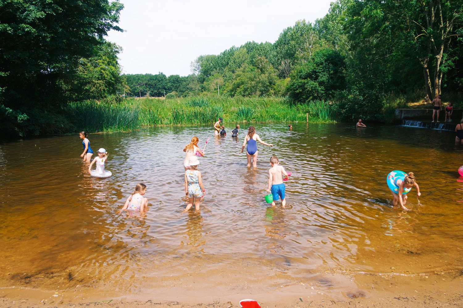 Children playing and wading in a shallow river surrounded by lush green trees on a sunny summer day. Photographed by John Ferguson