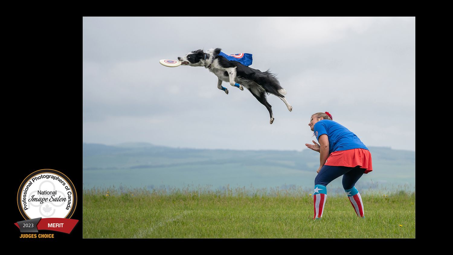 A border collie leaps high to catch a frisbee while a person in a superhero costume watches outdoors.