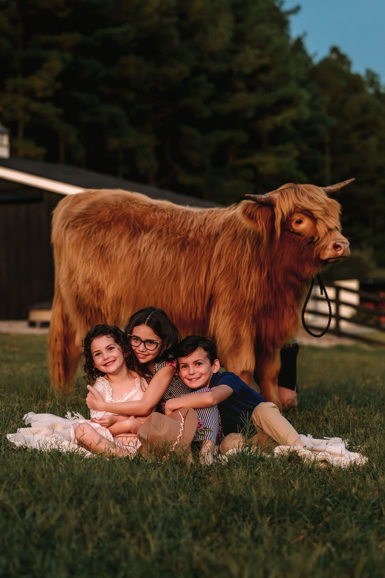 Three children smile beside a fluffy Highland cow on a green farm with wooden fencing in the background.