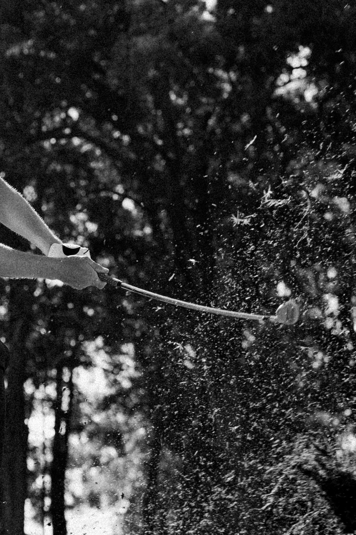 Black and white photo of a person swinging a long tool outdoors, with debris flying through the air near trees.