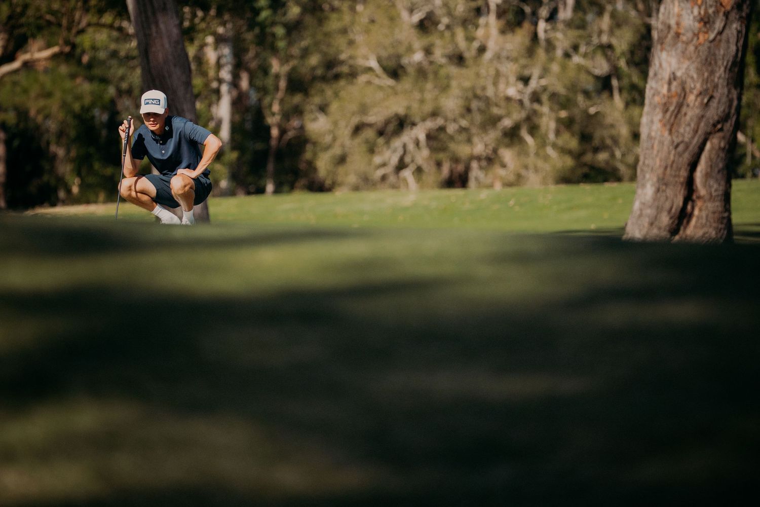 Golfer crouching on lush green course, reading the putt line near trees on a sunny day.