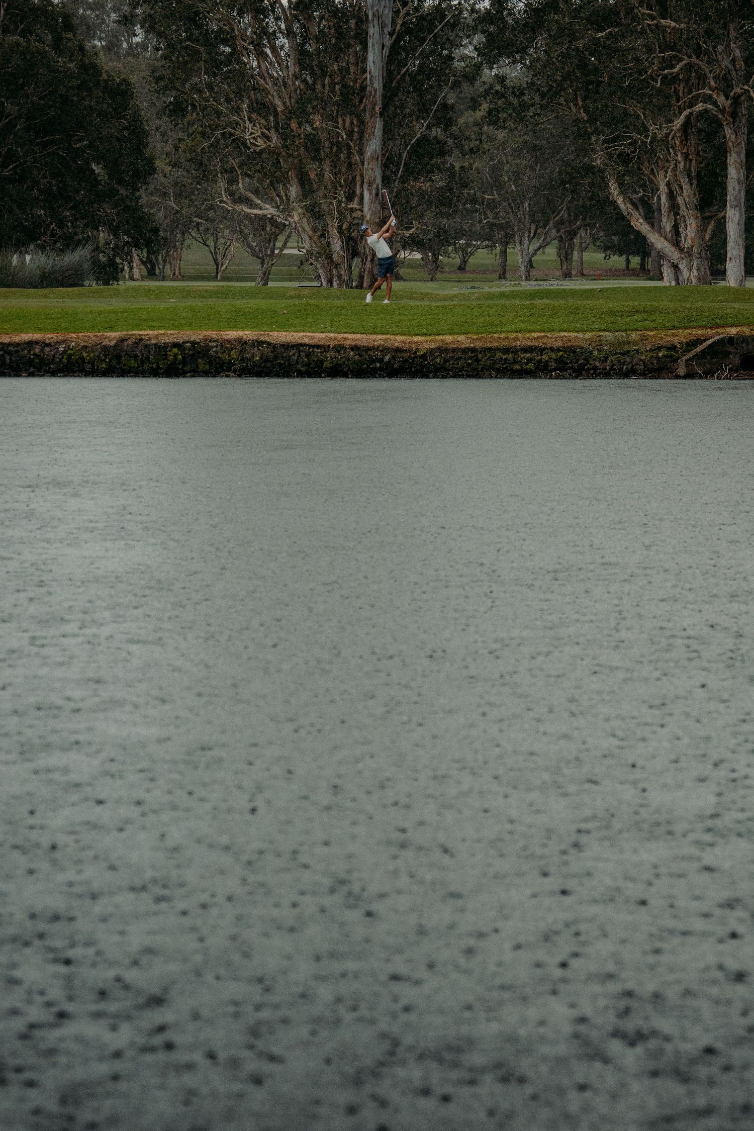 Golfer swinging a club on a lush green course beside a calm lake surrounded by trees.