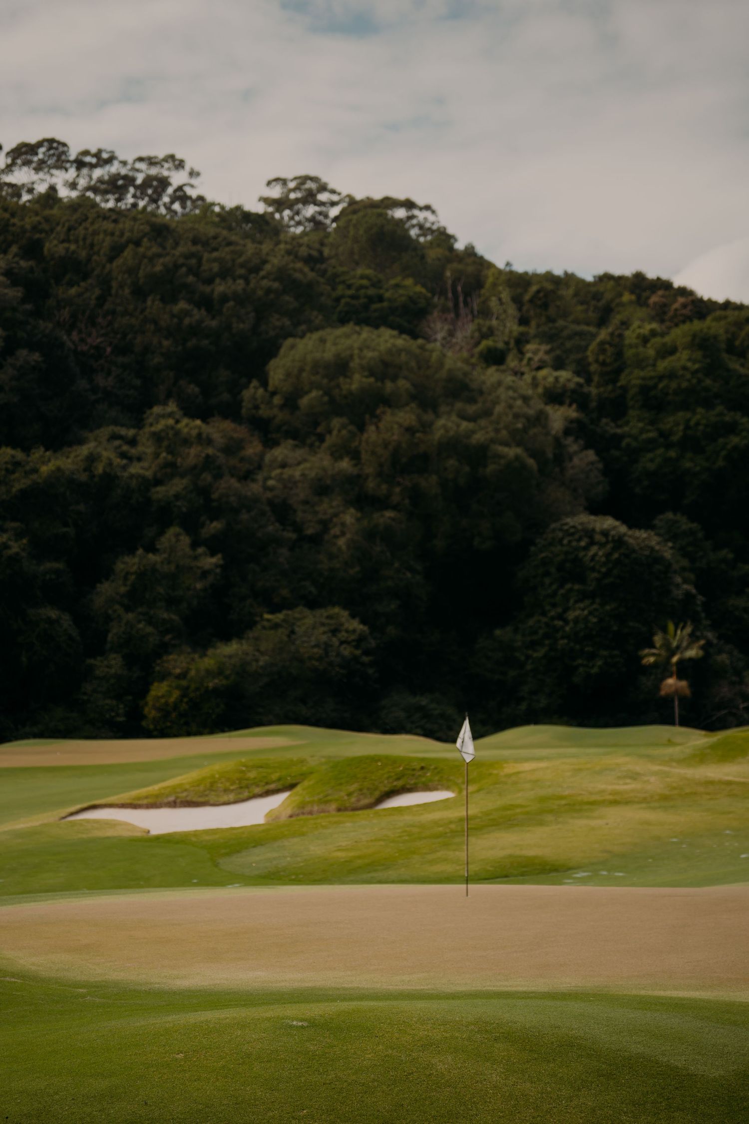 Lush golf course green with white flag, sand bunkers, and dense forested hillside backdrop under cloudy sky.