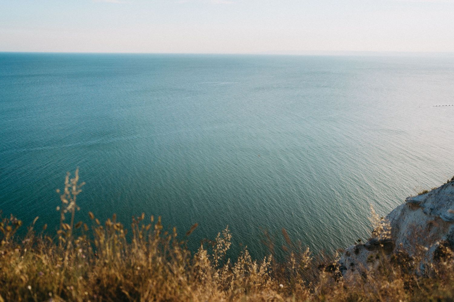 Aerial view of calm blue ocean waters from a coastal cliff with golden wild grass in the foreground.