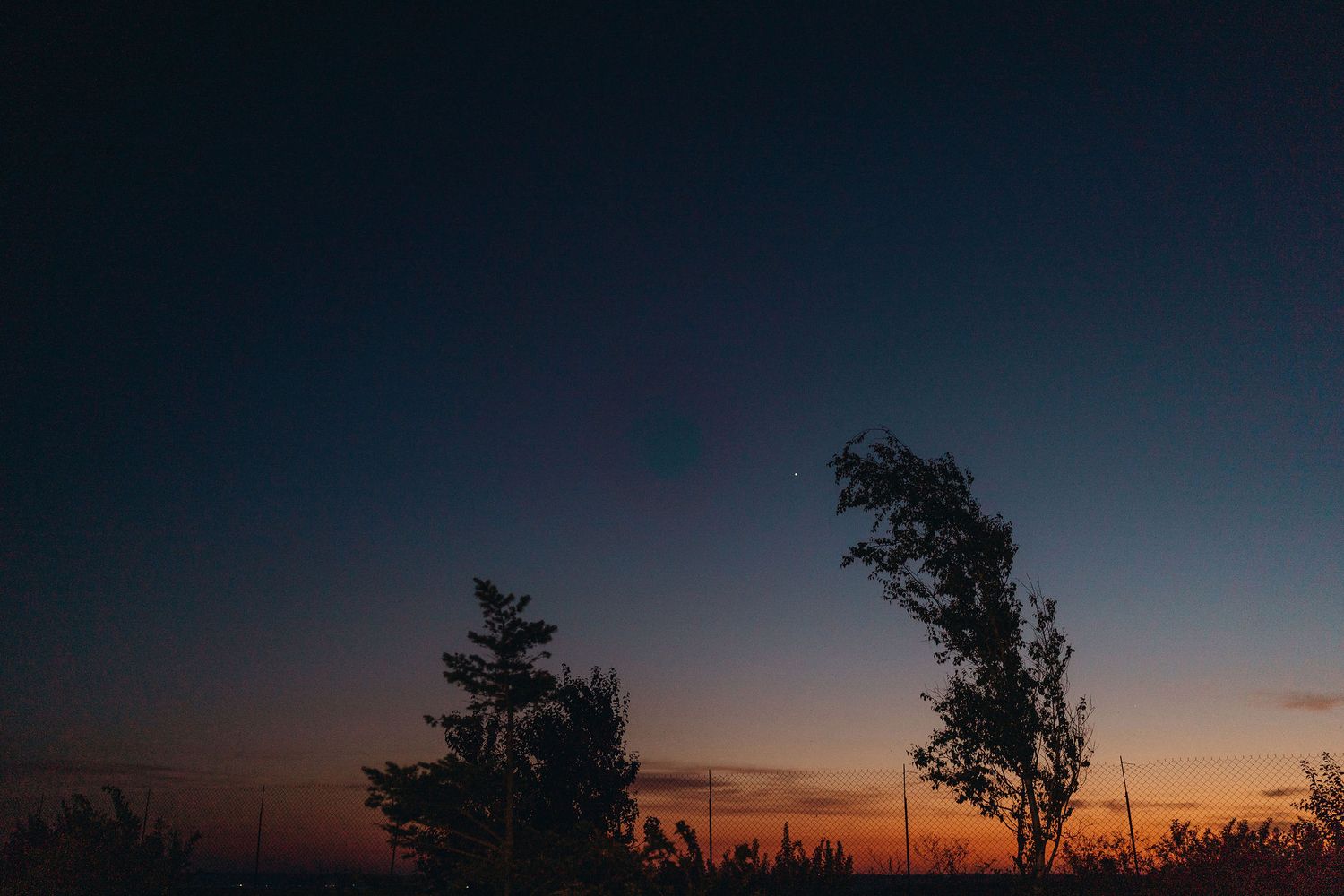Silhouettes of trees against a vibrant orange and blue twilight sky at dusk in a rural landscape.