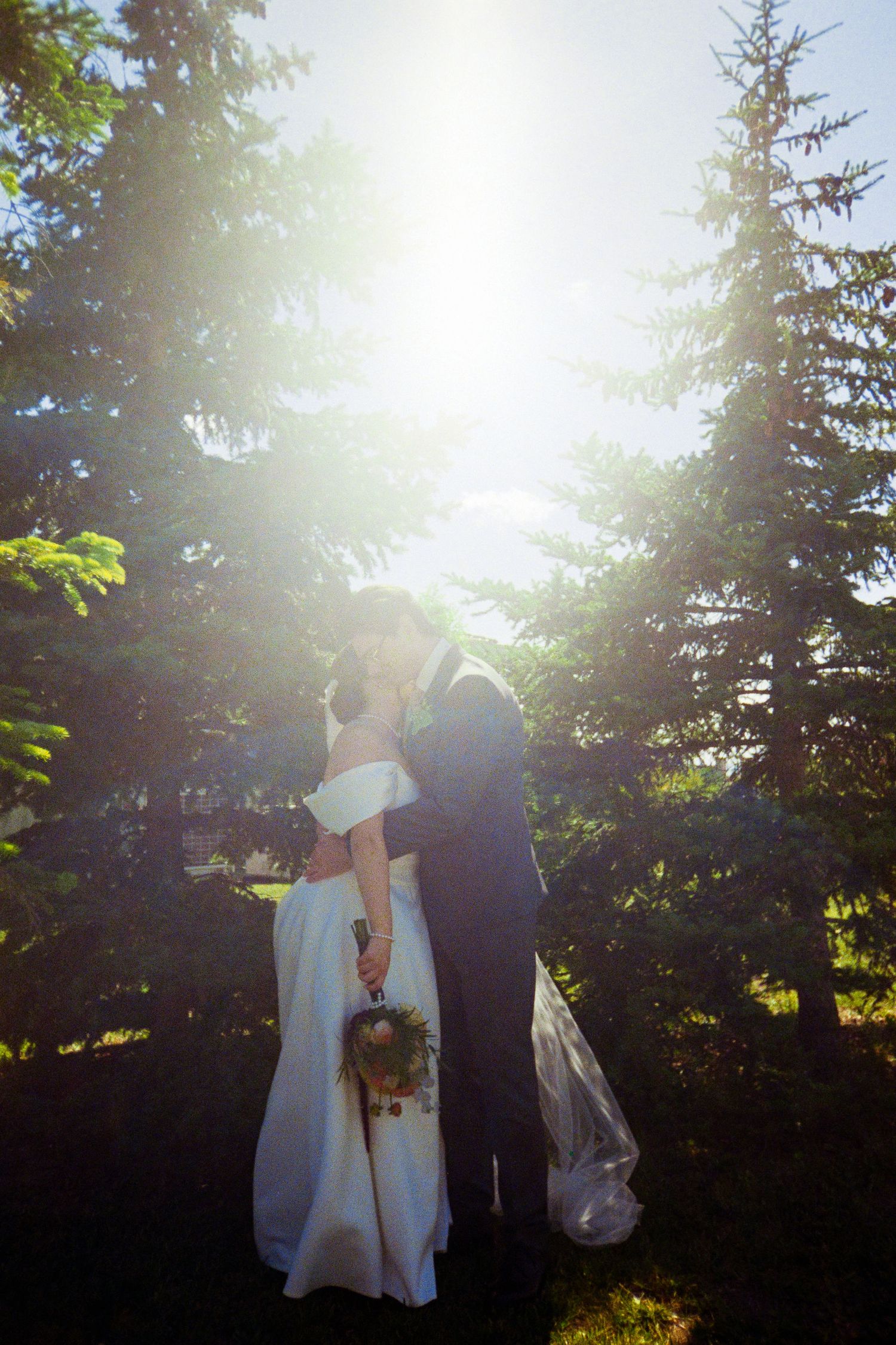 Bride and groom kissing among tall pine trees with sunlight streaming behind them on their wedding day.