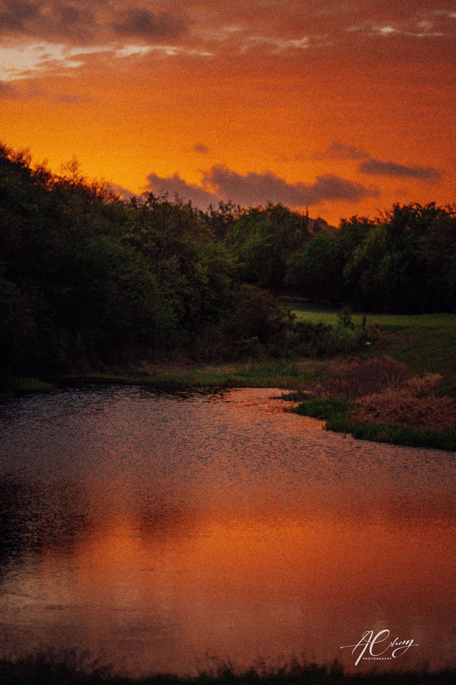 Vibrant orange sunset reflecting on a calm pond surrounded by lush green trees and dramatic cloudy sky.