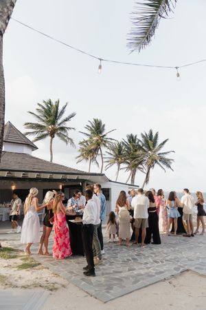 Wedding guests mingle outdoors near palm trees and string lights at a tropical beachside reception venue.