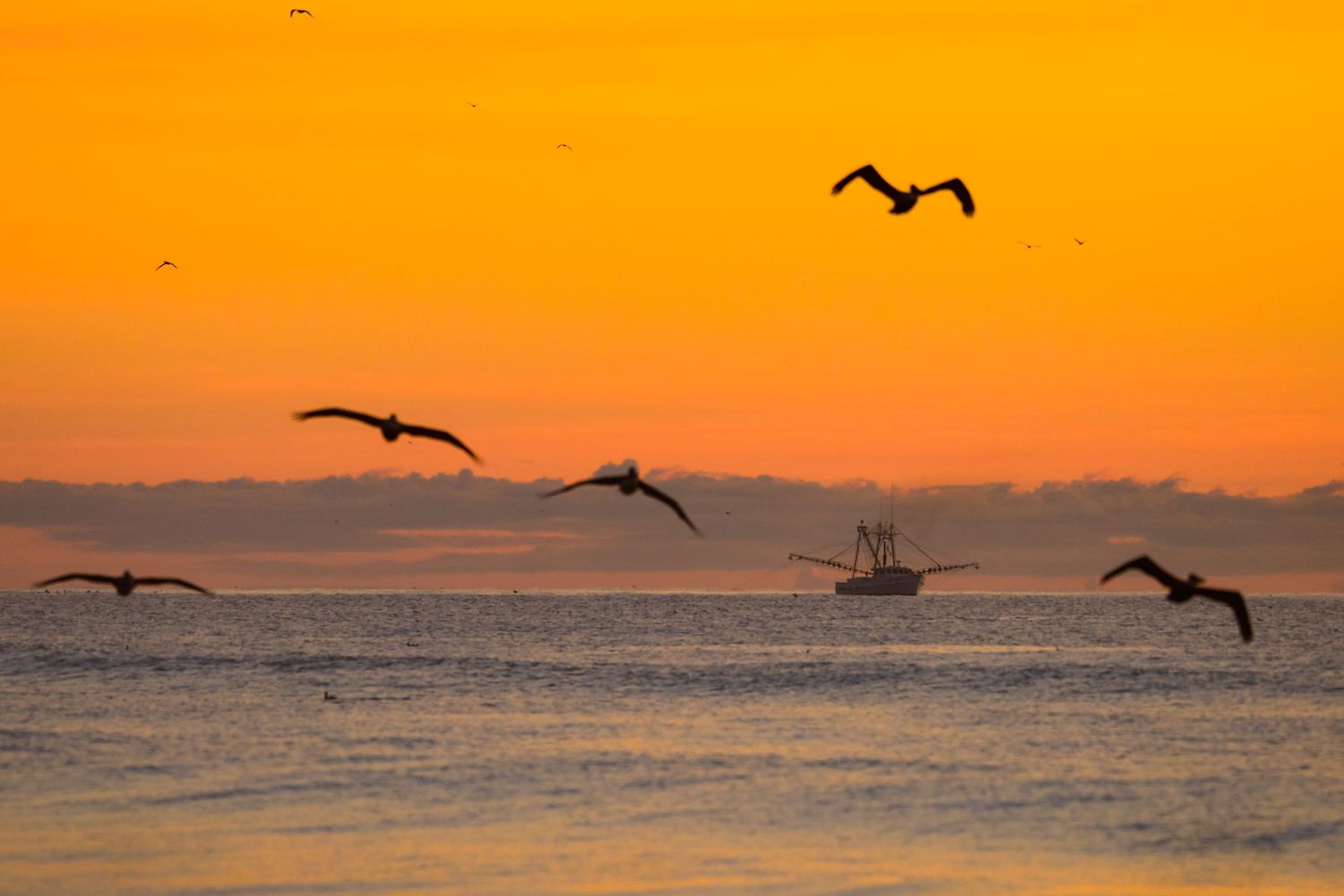 A beautiful sunset photo taken by Paul Block of No Planet B Photography on an island in the British Indian Ocean.