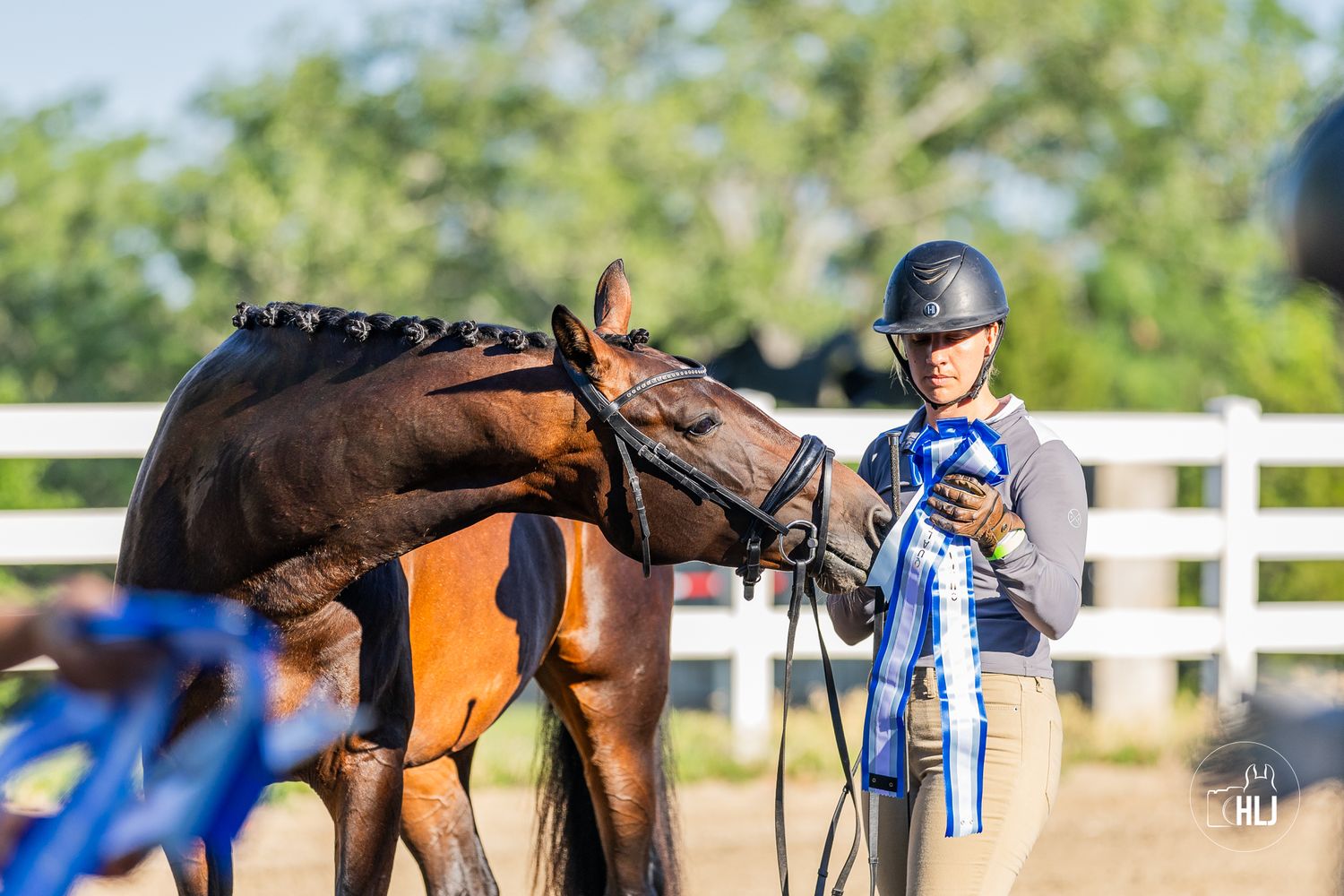 Beautiful dapple gray show horse performing in arena with decorated western tack.