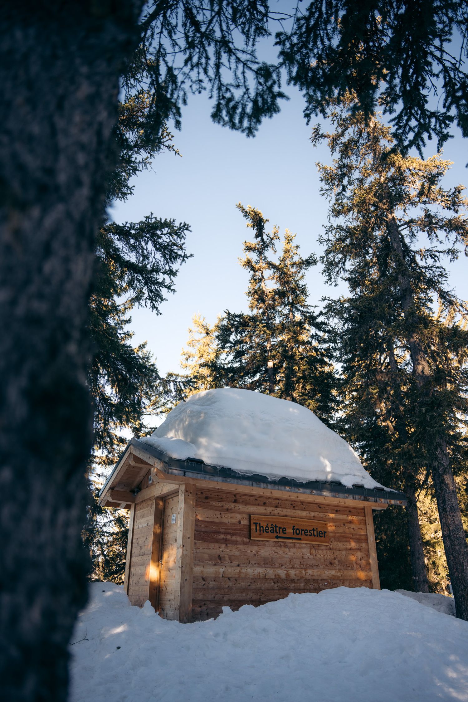 cabane dans la forêt en hiver sous la neige à la rosière