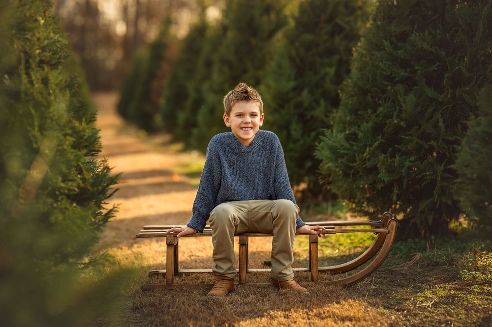 A smiling boy in a blue sweater sits on a wooden sled between rows of evergreen trees at a tree farm.