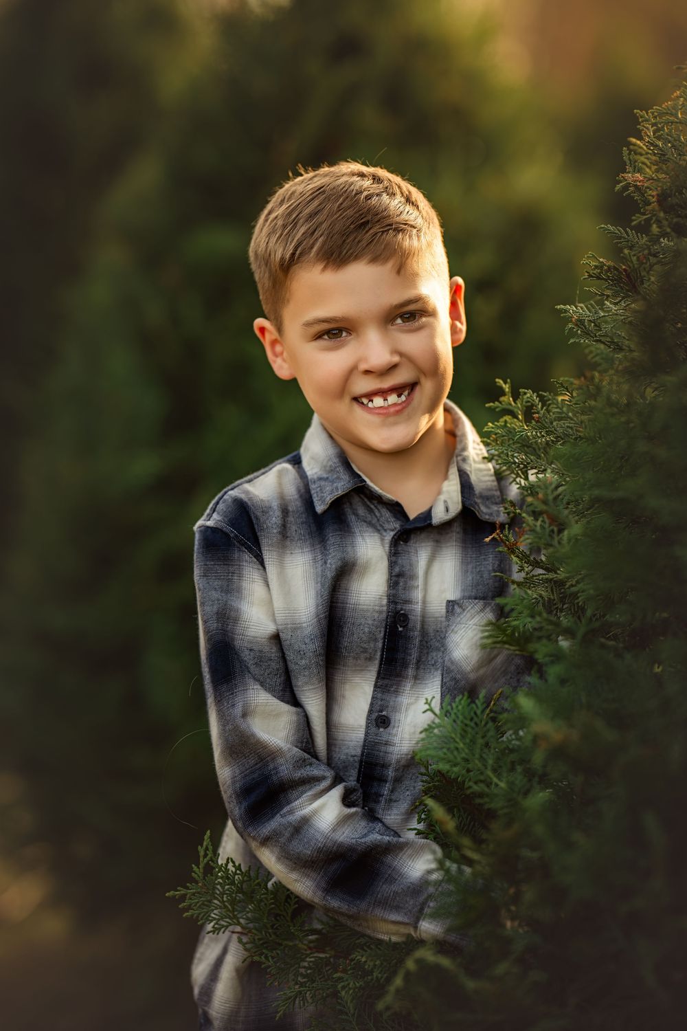 Smiling boy in plaid shirt standing among green evergreen trees at golden hour.