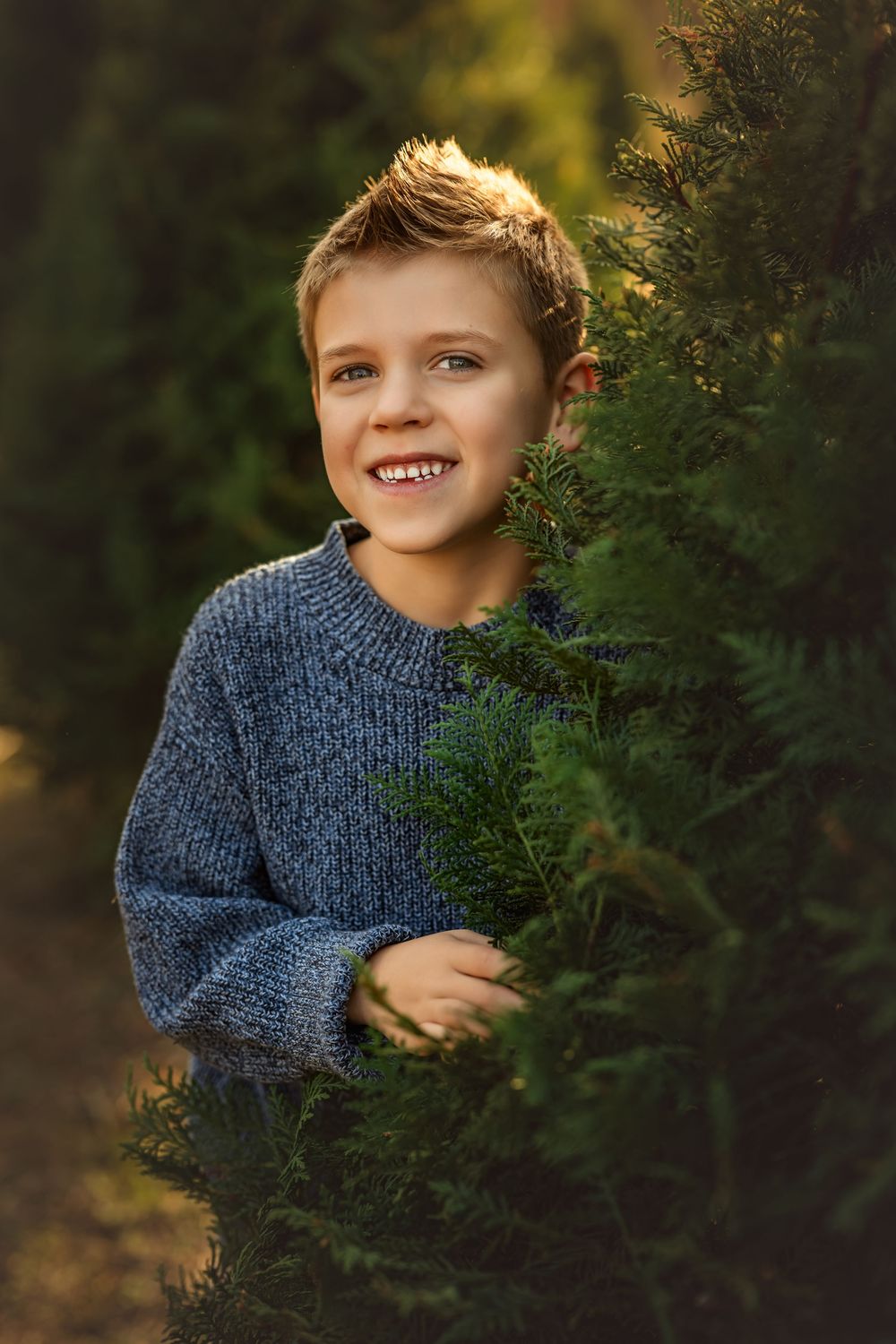 Smiling boy in blue knit sweater peeks through green evergreen trees outdoors in warm golden light.