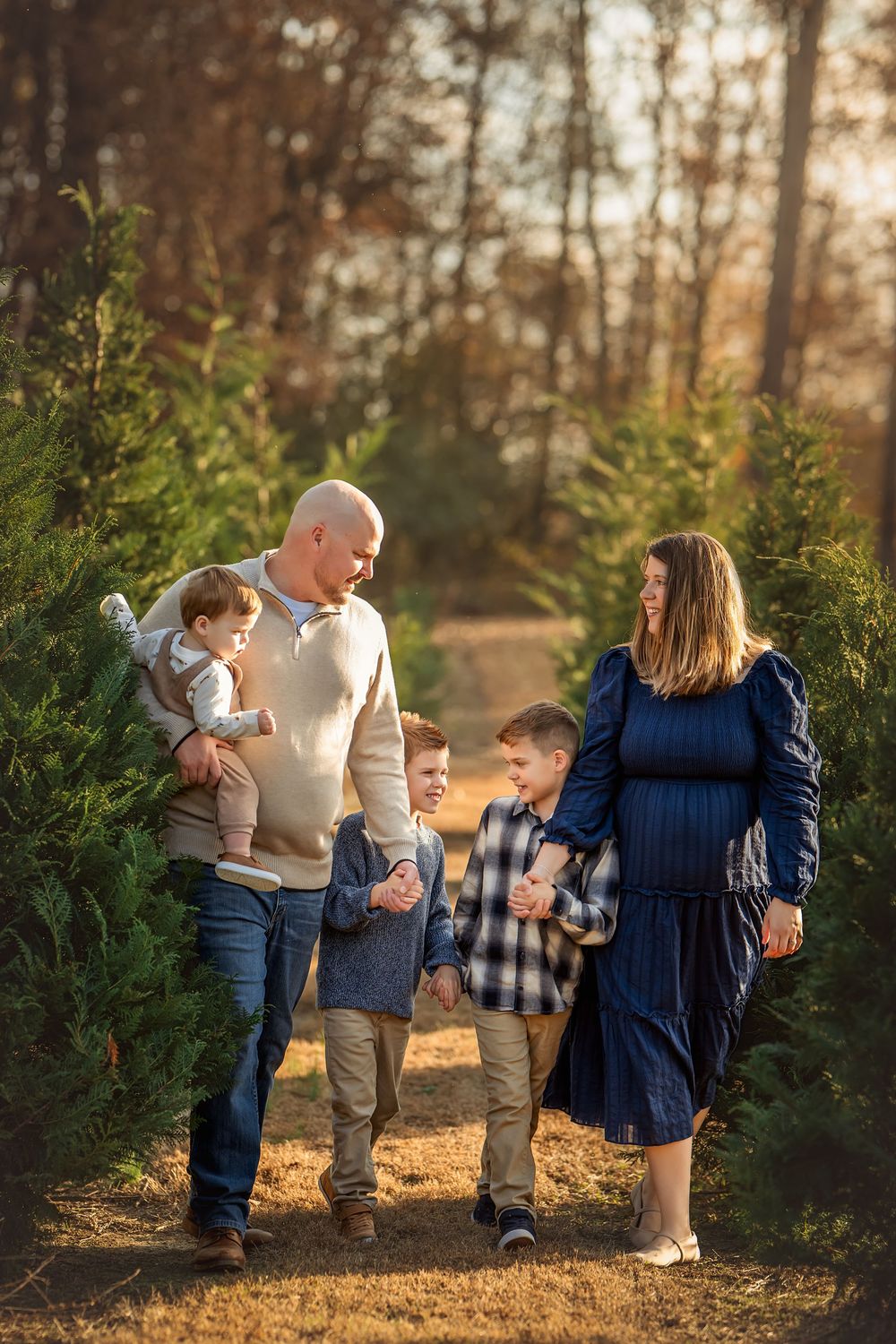 Family of five walking through Christmas tree farm path in golden hour light, pregnant mother in navy dress.