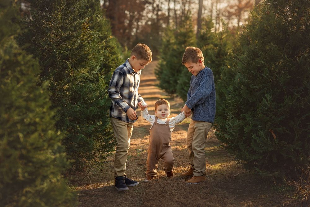 Two older boys help a toddler walk between rows of Christmas trees at a festive tree farm during golden hour.