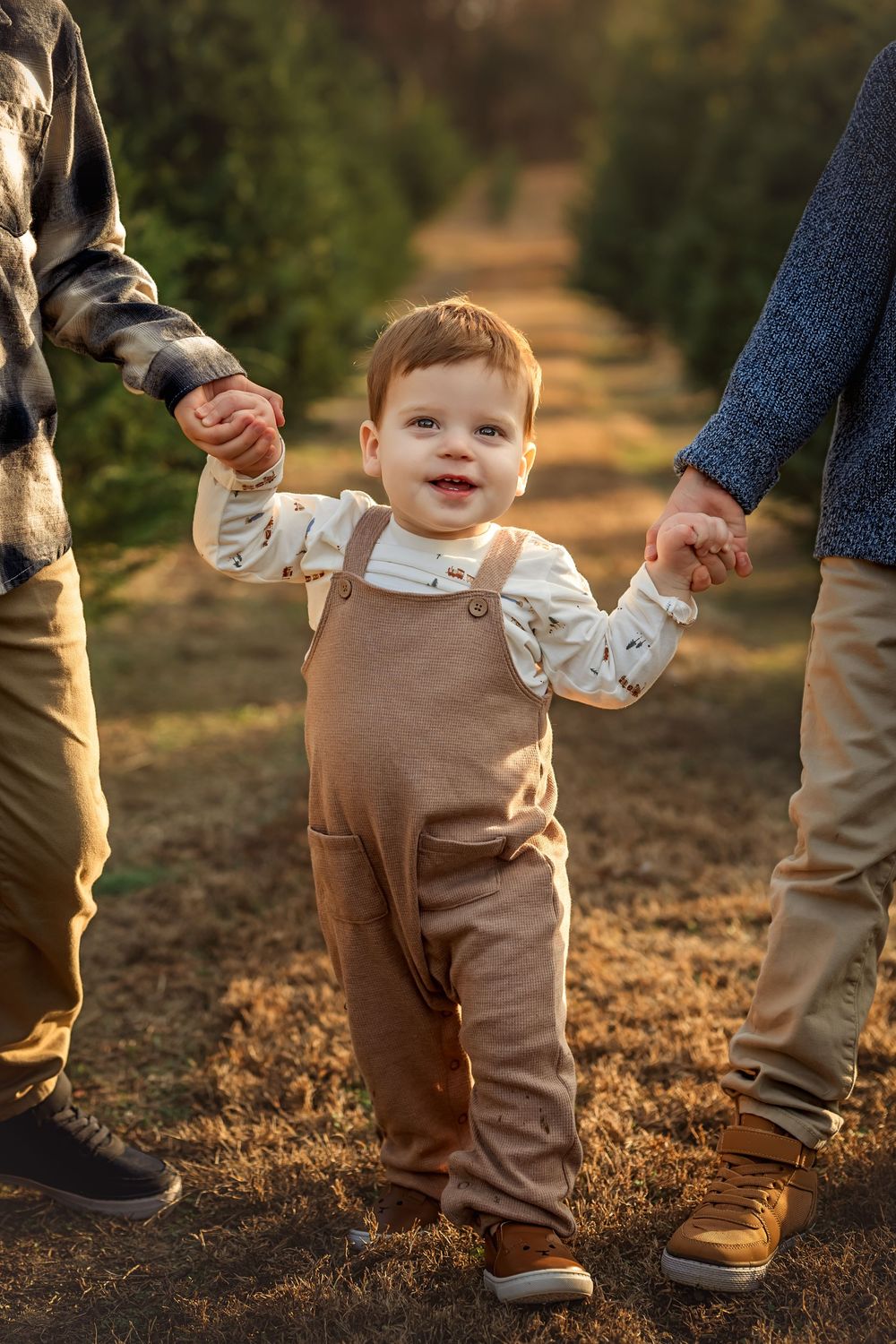 Toddler in brown overalls holds hands with two adults walking through a Christmas tree farm.