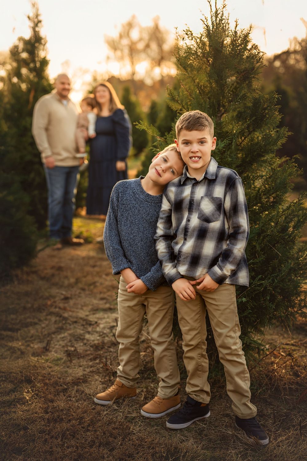 Two boys pose together at a Christmas tree farm while their parents stand in the background at golden hour.