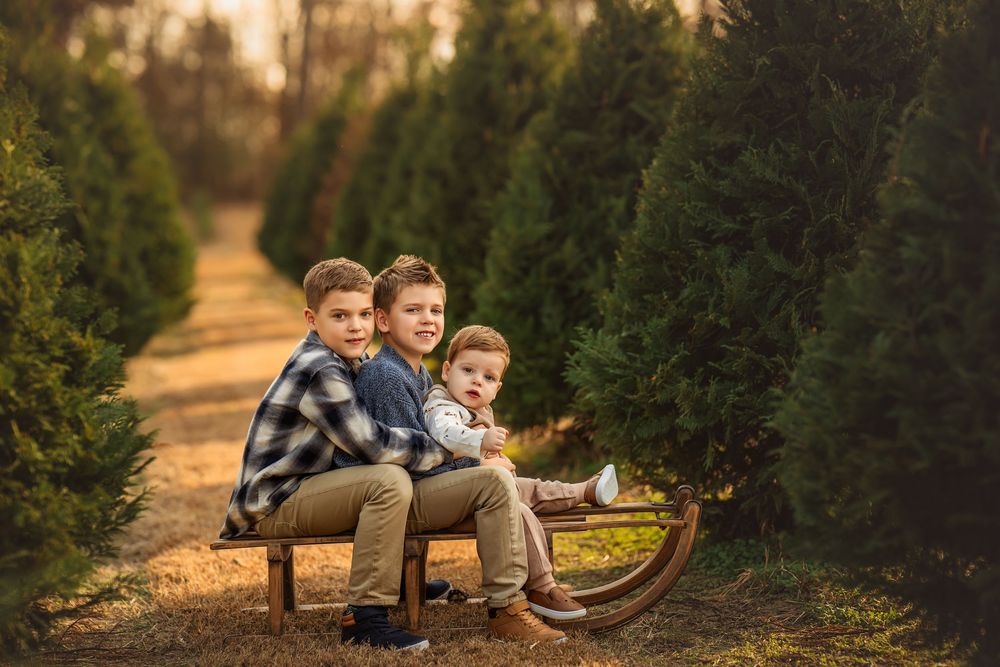 Three boys sitting on a wooden sled surrounded by Christmas trees at a festive tree farm.