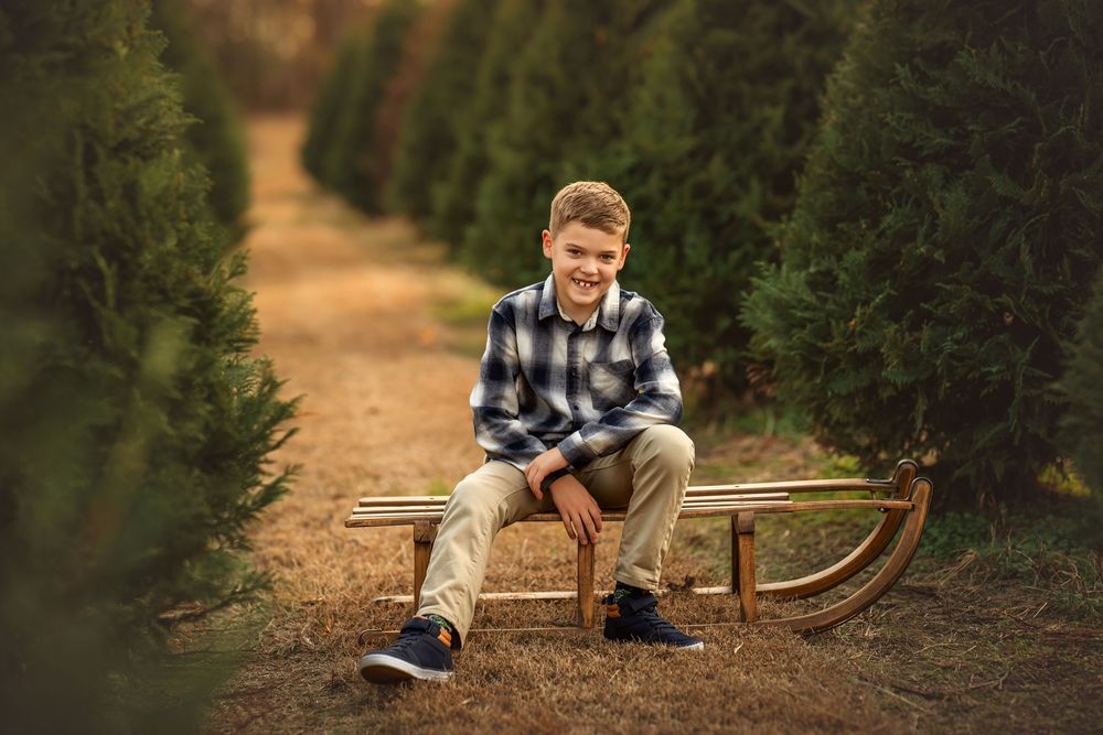 Smiling boy sitting on a wooden sled at a Christmas tree farm surrounded by rows of green trees.