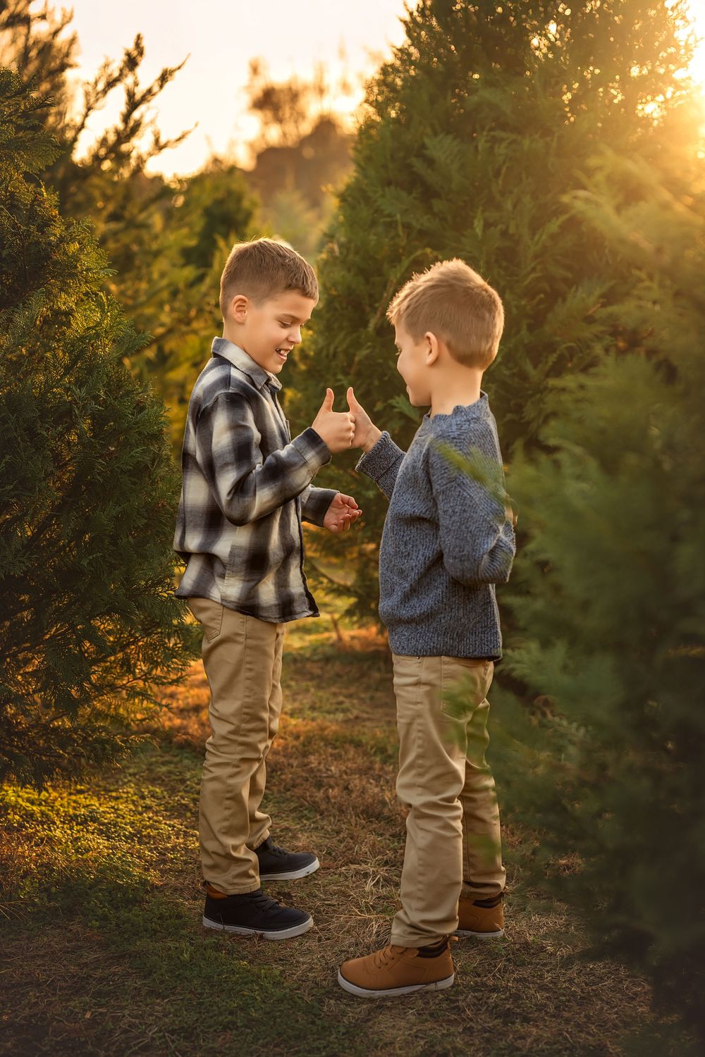 Two young boys giving thumbs up to each other at a Christmas tree farm during golden hour.