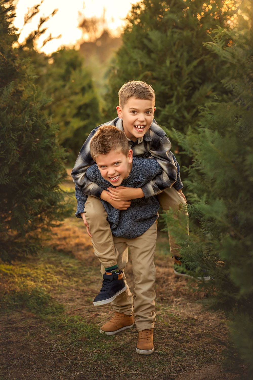 Two happy boys laugh while one gives the other a piggyback ride among green Christmas trees at golden hour.