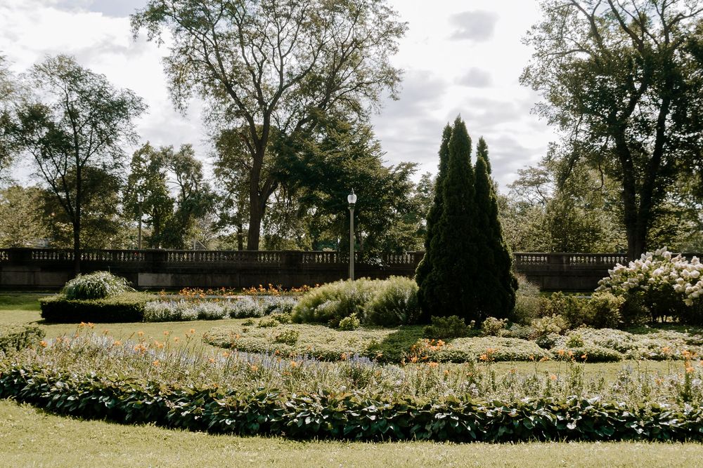 Formal garden with curved flower beds, tall cypress tree, lush greenery, and large trees under a cloudy sky.