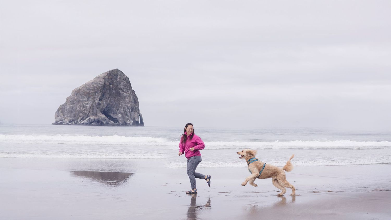 Woman in pink jacket runs with golden retriever on sandy beach, rocky sea stack visible in misty ocean background.