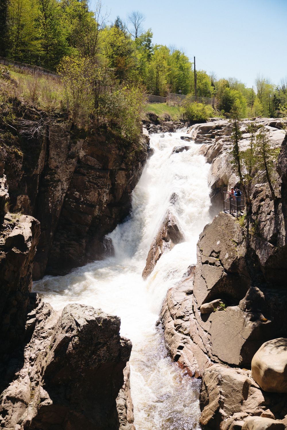 Powerful waterfall cascading over rugged rocky cliffs surrounded by lush green trees under a bright blue sky.