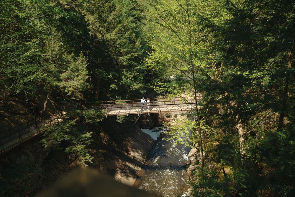 A wooden bridge spans a rocky stream surrounded by lush green forest trees in a serene woodland setting.