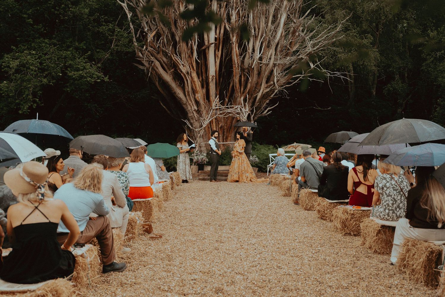 Outdoor rustic wedding ceremony with hay bale seating, guests holding umbrellas, and couple at altar beneath a large tree.