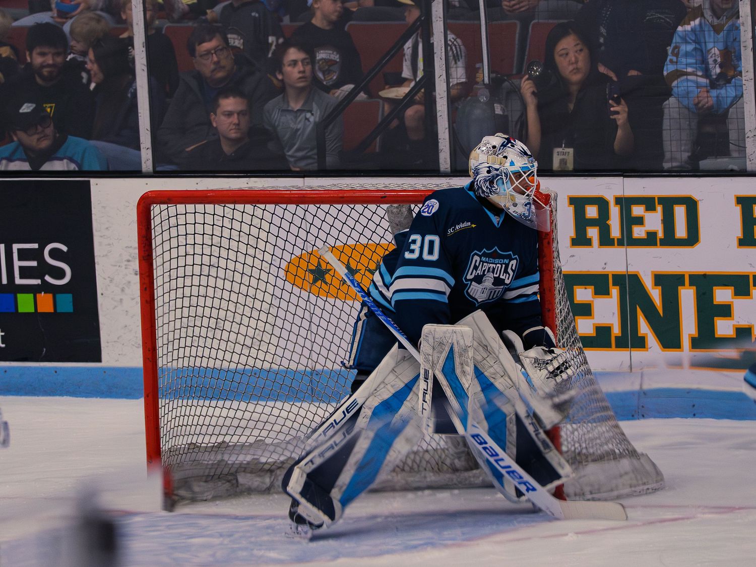A Madison Capitols goaltender number 30 stands ready in his crease in front of the open net as fans watch from the stands behind.