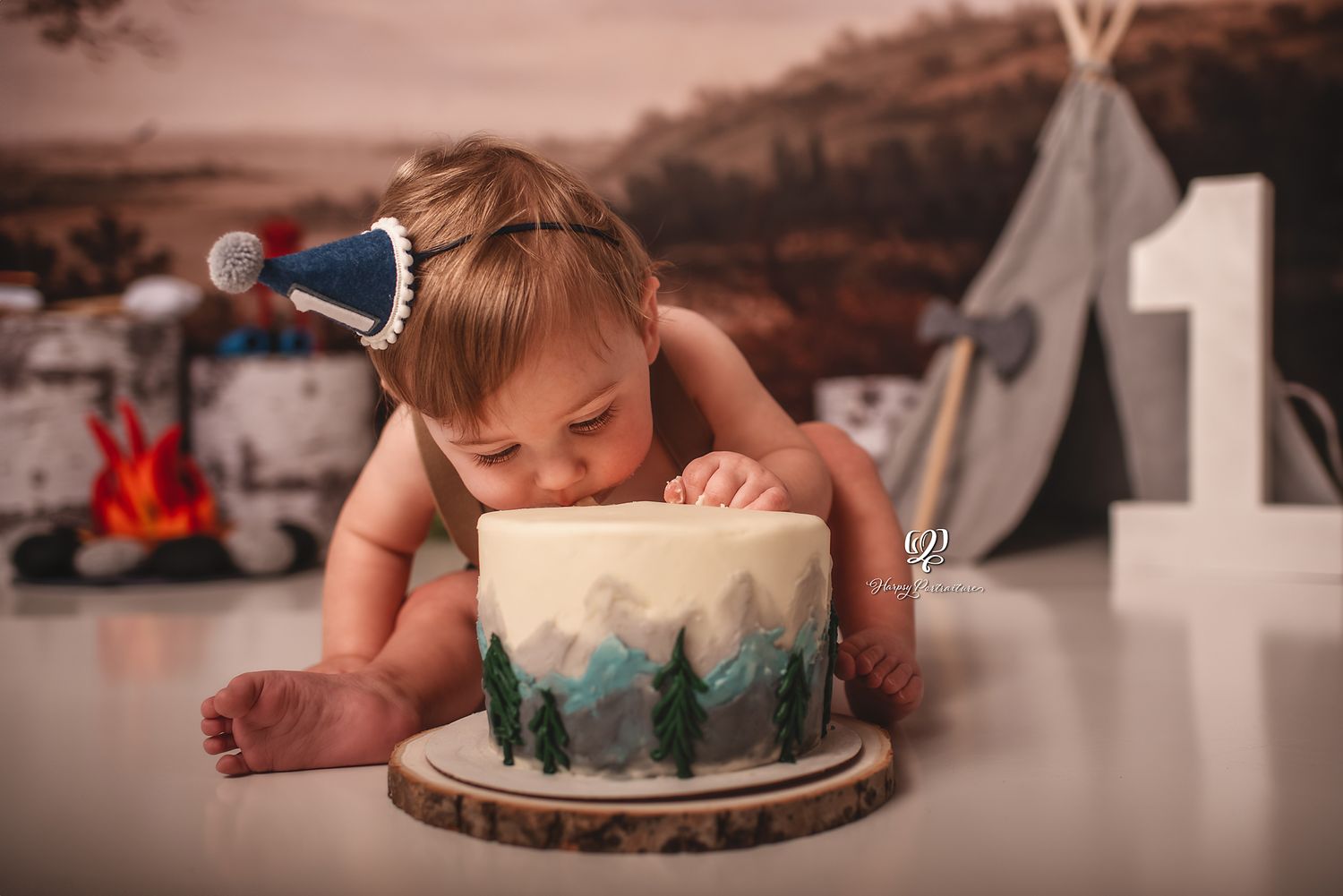 Cake Smash photographer Lexington, SC; professional child's birthday photoshoot; best photographer Lexington, SC; birthday session one year