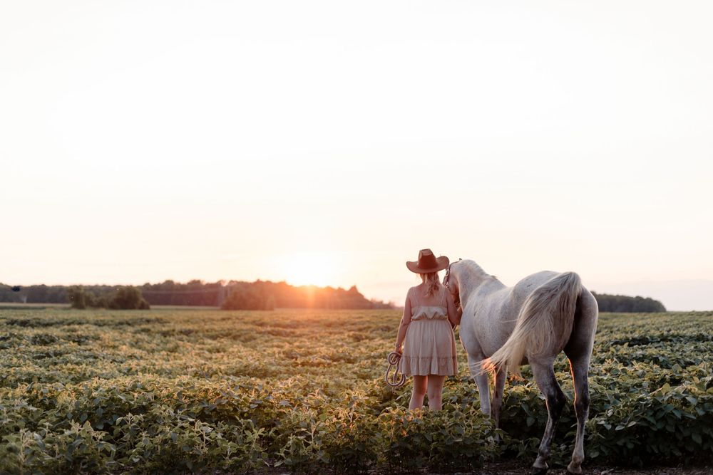 A couple walking with their white horse in a scenic field at sunset with golden light illuminating the landscape.
