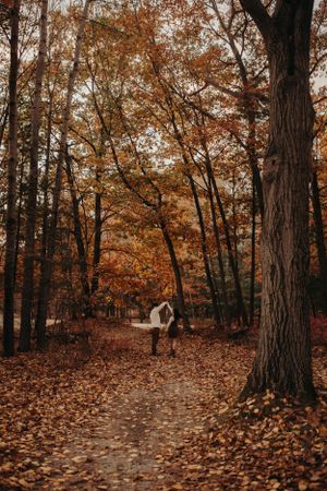 Michigan Engagement Photographer | Creative Art By Bree LLC