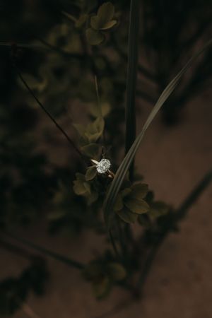 Michigan Engagement Photographer | Creative Art By Bree LLC