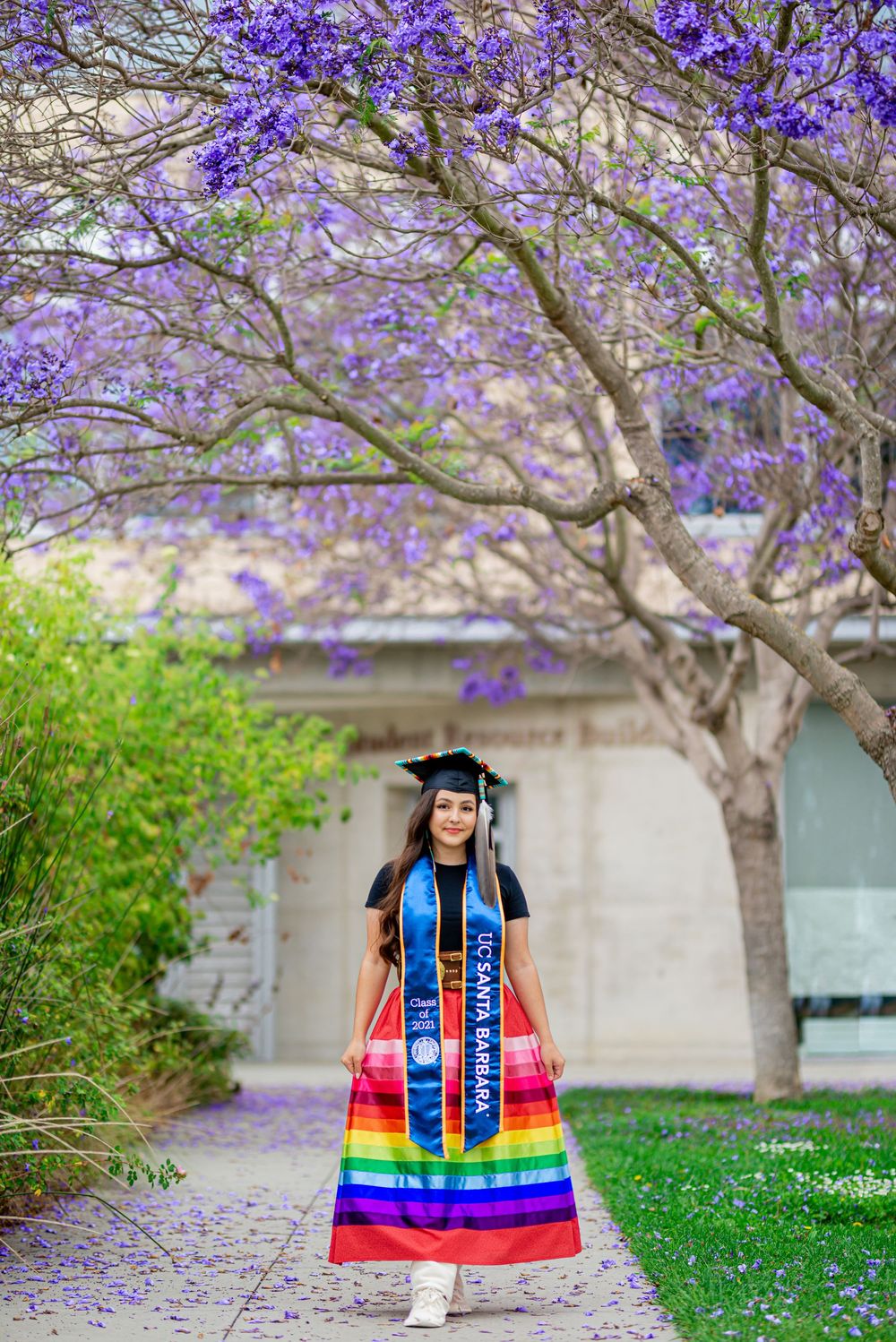 A graduation photo series under blooming purple jacaranda trees with rainbow stole decorations.