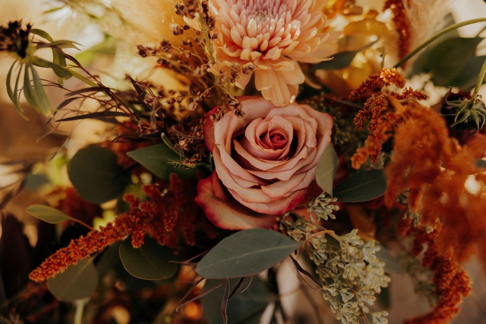 Close-up of a moody fall wedding bouquet featuring dusty pink roses and burgundy amaranth flowers.
